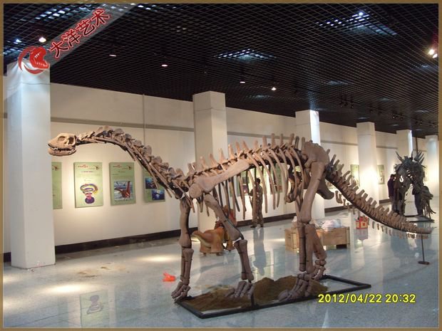 05-e102c2a761 吉林博物馆恐龙互动展区项目实景 5