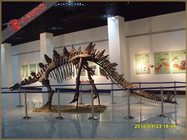 06-7121a14c0b 吉林博物馆恐龙互动展区项目实景 6
