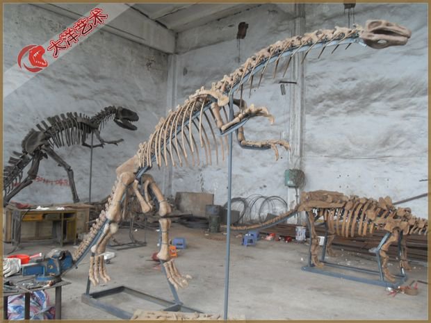 03-ea3a1ea39d 咸阳博物馆恐龙骨架展陈项目实景 3