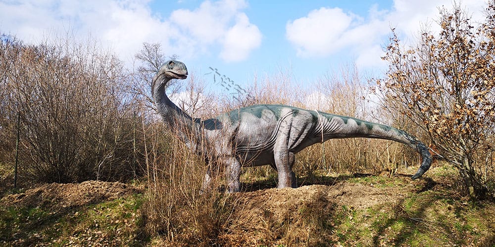 捷克 Dino Live 天然恐龙公园项目实景 10