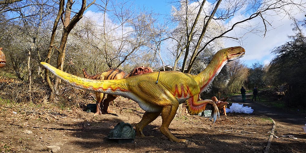 捷克 Dino Live 天然恐龙公园项目实景 18