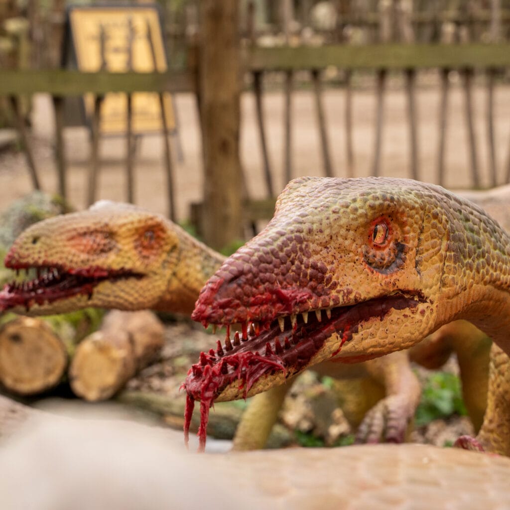 04-c1421f9345 英国 Dinopark 恐龙公园项目实景 4