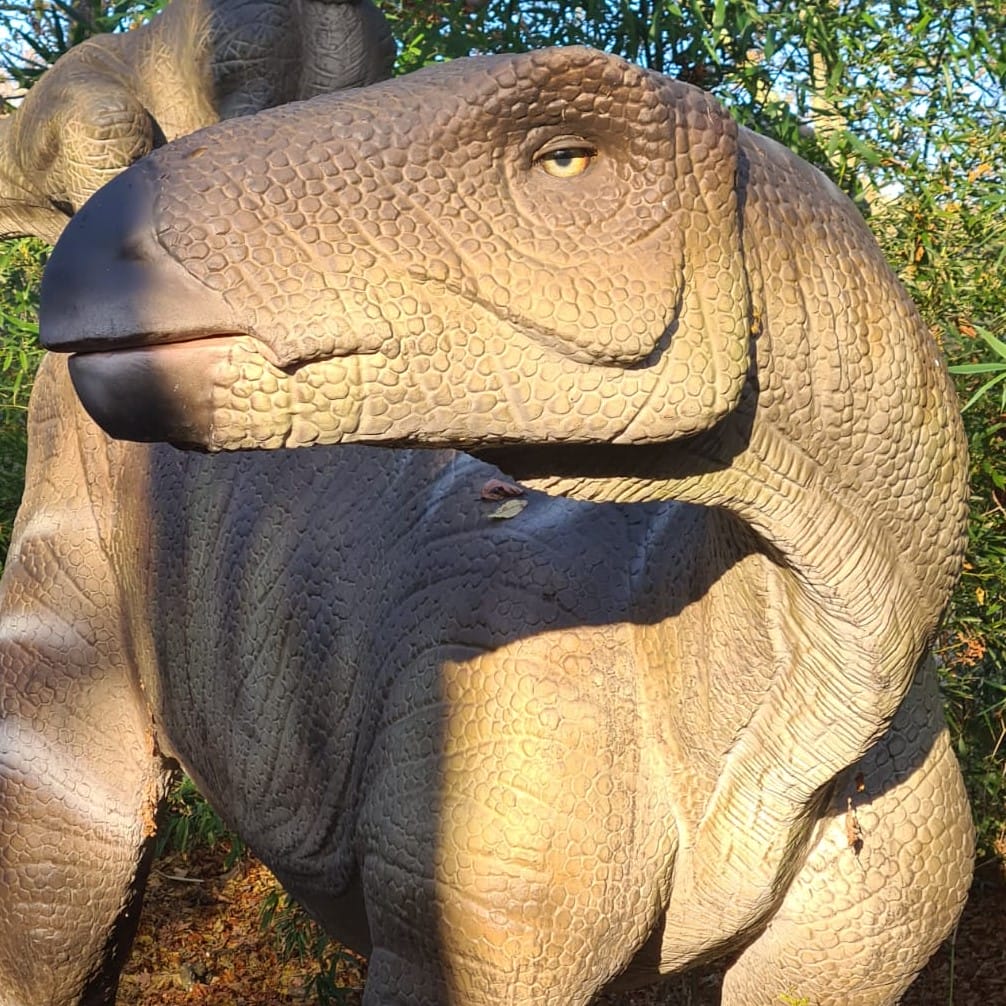 07-c6f3b3ca5a 英国 Dinopark 恐龙公园项目实景 7