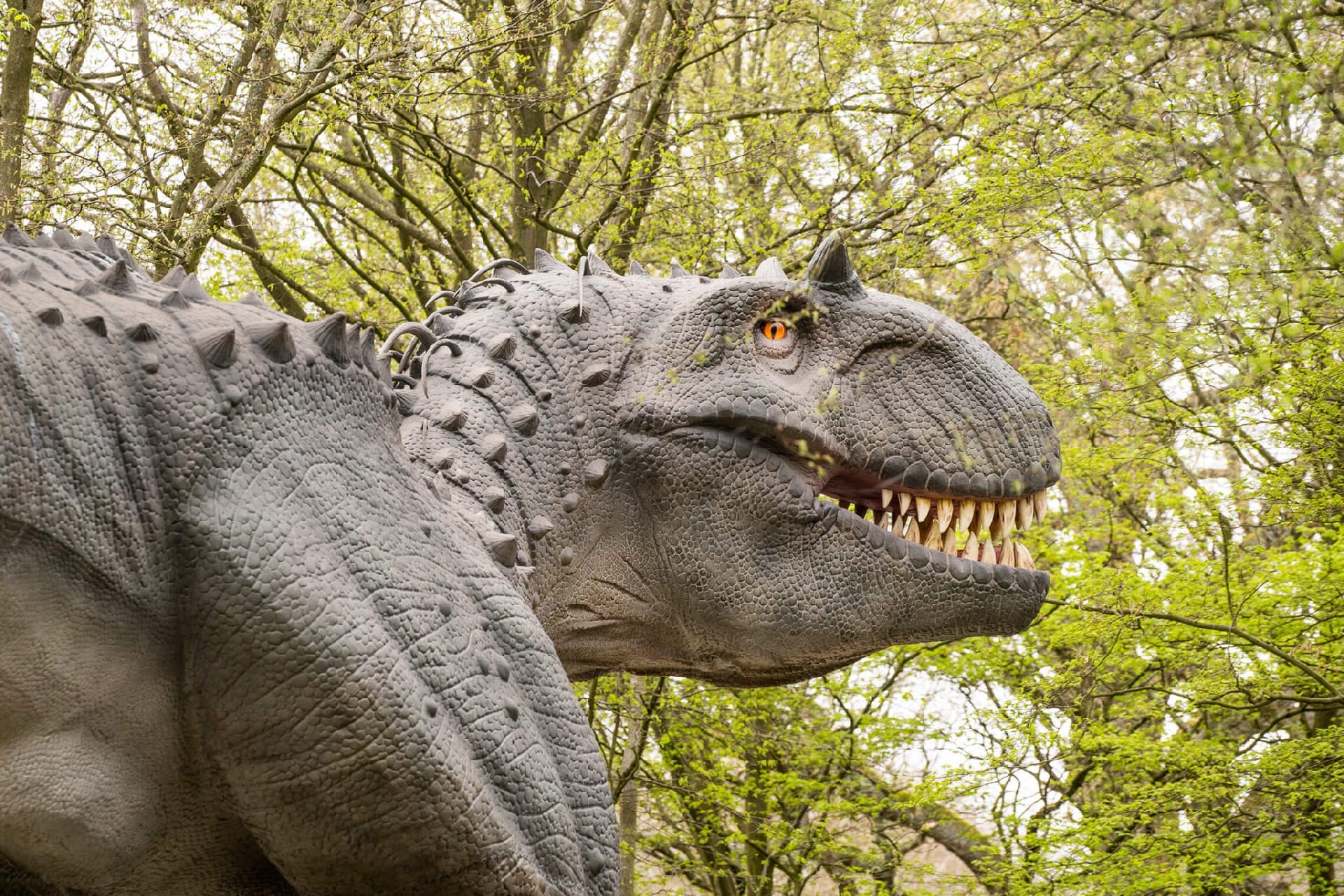 08-df10702594 英国 Dinopark 恐龙公园项目实景 8