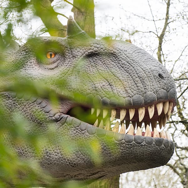 09-574bdd55cf 英国 Dinopark 恐龙公园项目实景 9