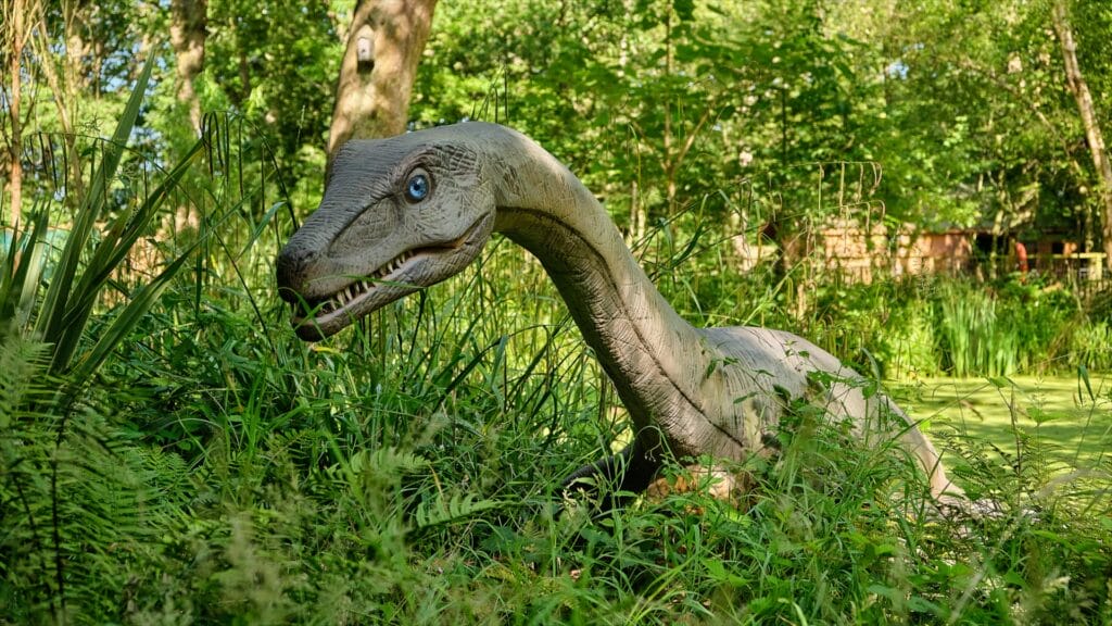 13-a96e845724 英国 Dinopark 恐龙公园项目实景 13