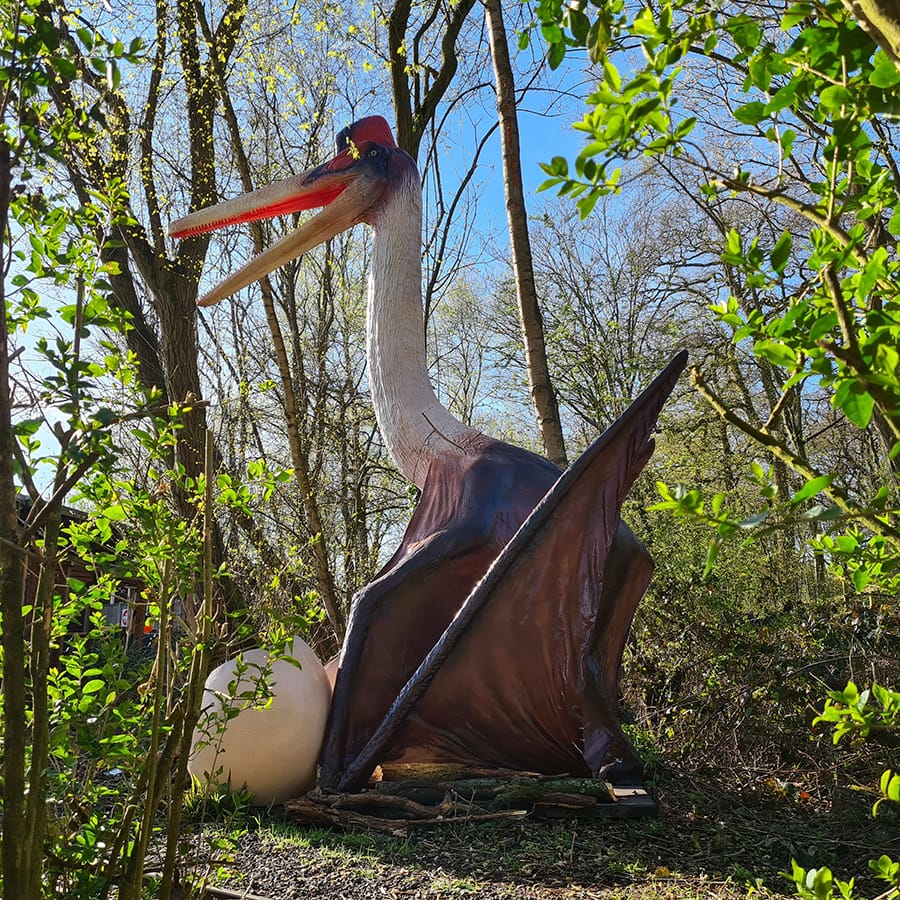 14-72f02c7017 英国 Dinopark 恐龙公园项目实景 14