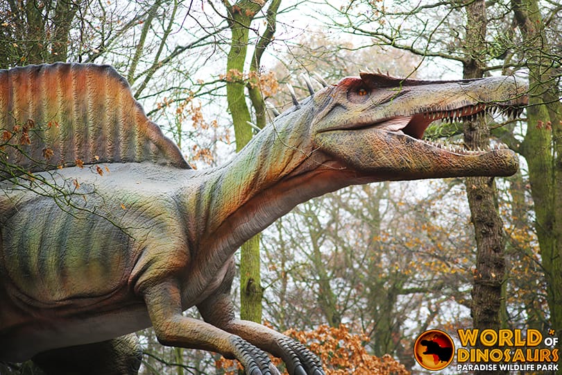 15-260ad0dc6d 英国 Dinopark 恐龙公园项目实景 15