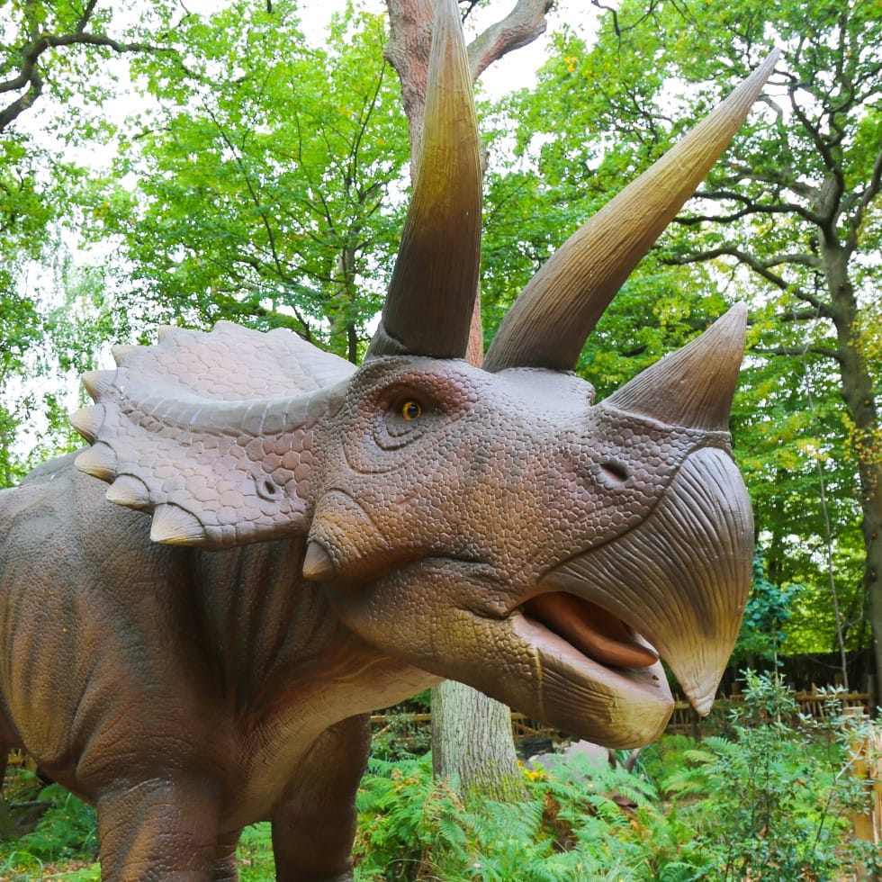 17-60a8c9c857 英国 Dinopark 恐龙公园项目实景 17
